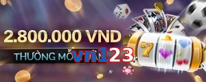 vn123