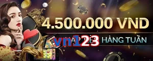 vn123