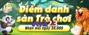 vn123