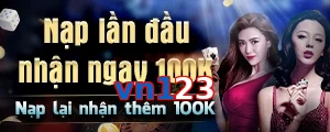 vn123