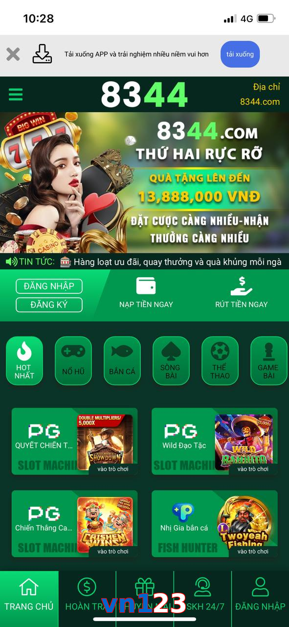 vn123
