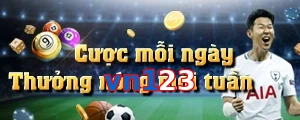 vn123