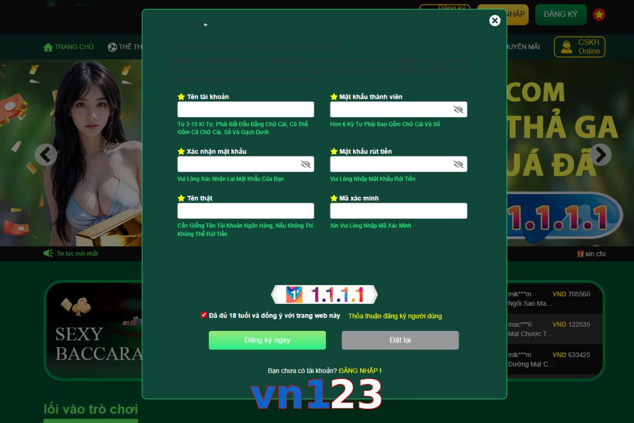 vn123